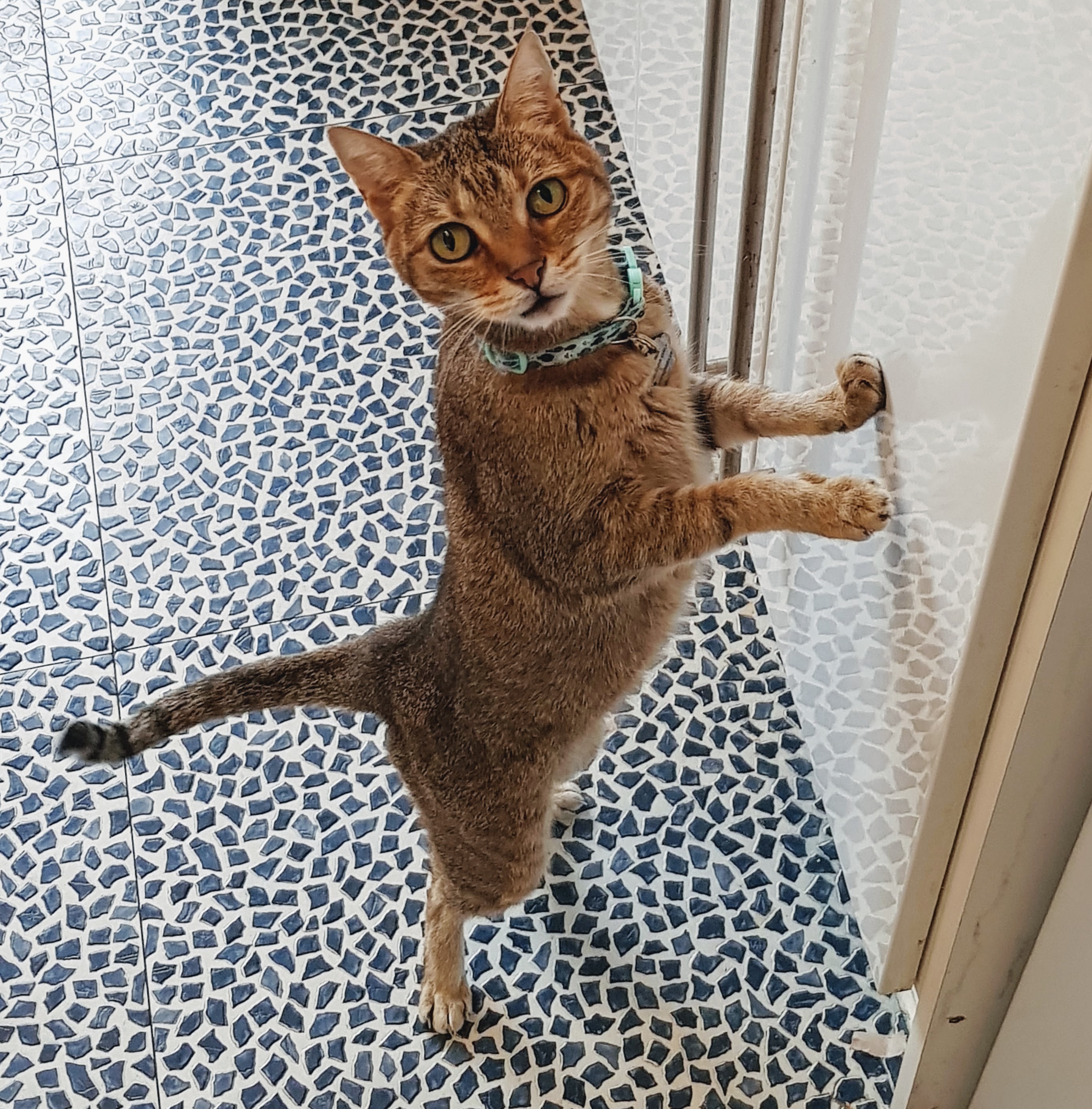 tina